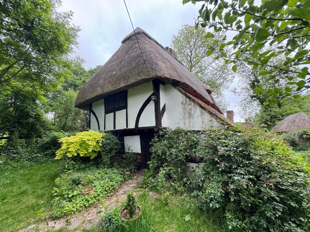 Lot: 134 - DETACHED THATCHED COTTAGE ON ALMOST TWO ACRE PLOT WITH DETACHED THATCHED OUTBUILDING - View of property